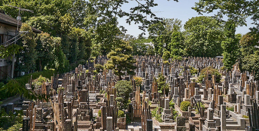 墓地についての説明